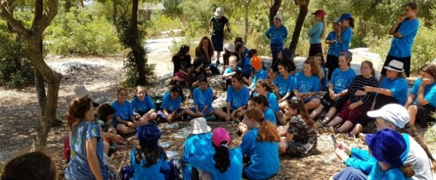 פעילות בקבוצות. צילום: ניסים מגנגי, ארכיון הצילומים של קקל