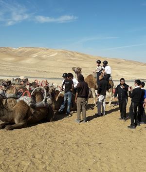 פעם ראשונה בחיים על גמל. חוויה שלא תישכח. צילום: רועי מרסיאנו