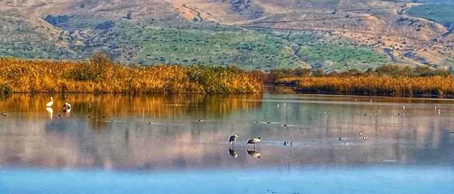 אתר טבע ברמה לאומית ובינלאומית. צילום: רים דגש, קקל