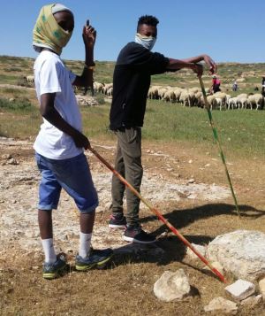 מי המנהיג בעדר? סדנת הרועה כמנהיג. צילום: רועי מרסיאנו
