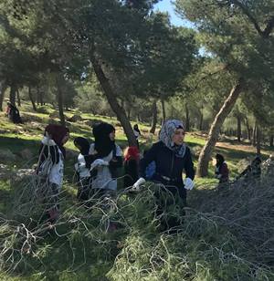 תלמידות אורט אלפורעה מנקות את יער יתיר. צילום: קקל