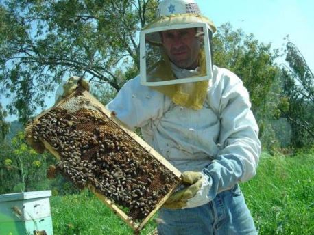 כוורן בגלבוע. צילום: מיכאל חורי, ארכיון הצילומים של קקל
