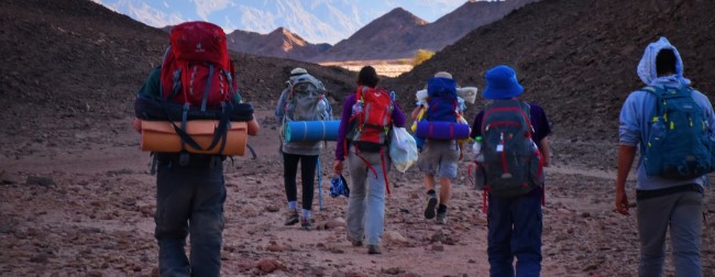מתגברים יחד כקבוצה על כל האתגרים. חניכי חוגי הסיירות במסע חנוכה. צילום: דרור בודוך