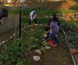 חניכי כפר ורדים בגינה הקהילתית. צילום באדיבות איתן שמואלי