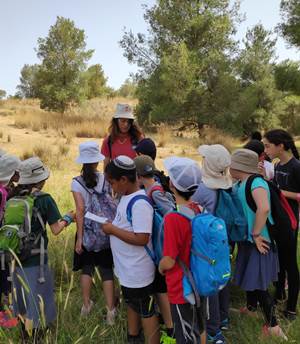 לימוד בשטח הפתוח. צילום: יועד ענתבי, חוגי הסיירות של קקל