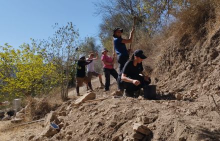 מכינה בעבודת תורמת במסגרת סיירת יער. צילום: לביא גיאת. ארכיון הצילומים של קקל