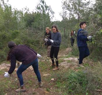 באנו לעזור ליער ולסביבה. צילום: ענת הופמן
