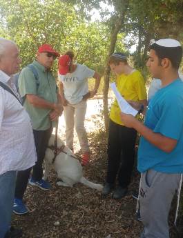 עובדים על נגישות יחד עם לקויי הראייה. צילום באדיבות מדריכי קקל