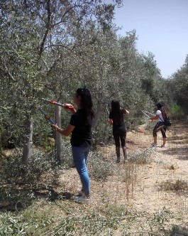 עבדו קרוב לממדים. ילדי העובדים בדרום. צילום: אורנית גינת, קקל
