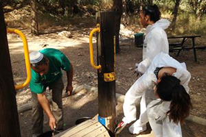 ילדי עובדים צובעים מתקנים ביד לשריון. צילום: ויקי יצחקי, קק"ל