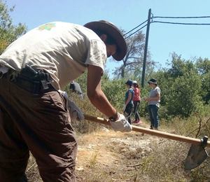 עודרים ועובדים במרץ. צילום: קקל