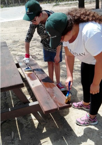 מה עושים? צובעים ספסלים לרווחת התושבים. צילום: קקל