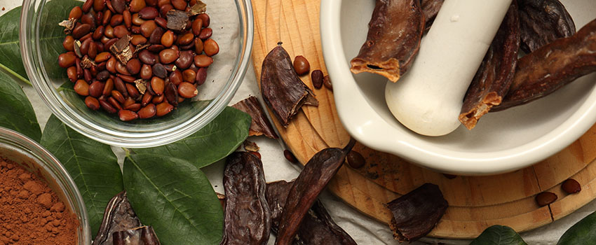 חרובים וגרעיני חרוב. צילום: דרך החרוב