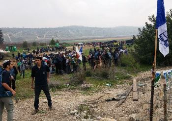חניכי אריאל בעמק האלה. צילום: צבי צור