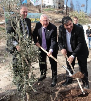 מימין: יור קקל, נשיא המדינה וראש עיריית חיפה נוטעים תקווה בחיפה. צילום: יואב דביר
