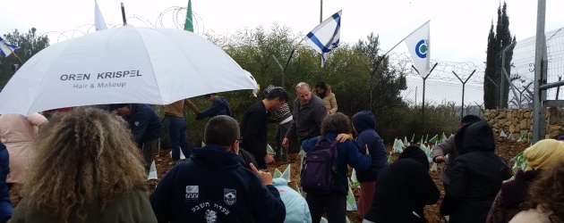 נוטעים למרות הגשם: נטיעות במבשרת ירושלים. צילום באדיבות דוד אשכנזי
