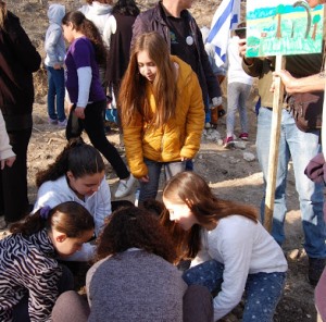 השותלות בשמחה. תלמידות ביס רוממה נוטעות. צילום: מלי נאור, ביס רוממה

