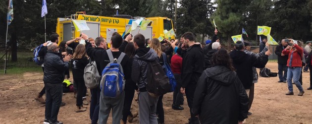 יומיים של נטיעות מרוכזות לשיקום יער ביריה. צילום: דני פדידה