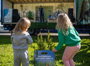 שתילים ובמה ירוקה. צילום: עמוס לוזון, ארכיון הצילומים של קקל
