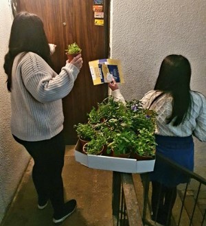 עציץ אישי לכל בית. צילום באדיבות דני פדידה, מרחב צפון, קקל