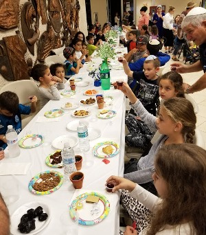 סדר ט"ו בשבט בפלורידה. צילום: זוהר ולוסקי