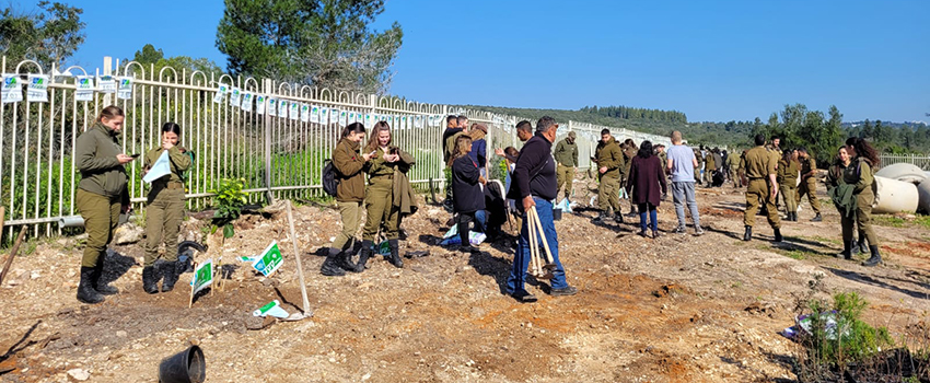 חיילים מחטיבת גולני בפעילות נטיעות במרכז שדה ויער שוני