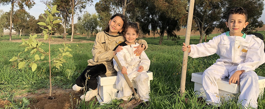 ילדי משפחת שחר ממושב קלחים בעוטף עזה בנטיעות צופניות בשטחי החקלאות של העוטף. צילום: הדבש של עידו, קלחים