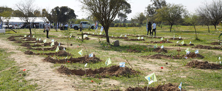 אתר הנטיעות של קקל בחניון רעים לזכר נרצחי נובה. צילום: יוסי איפרגן, מערך ההסברה של קקל