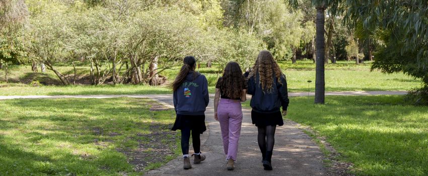 צילום: ארכיון הצילומים של קקל