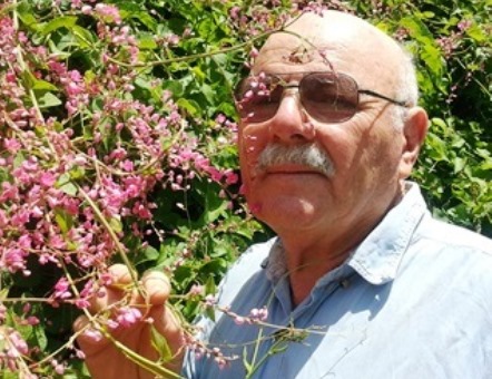 ללא מורא: דר לופו ליד צמח עם דבורים מוצצות צוף
