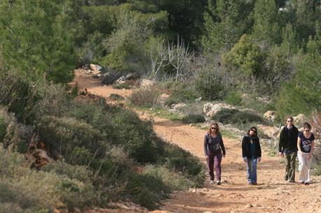 מטיילים ביער עמינדב. צילום: פלאש 90
