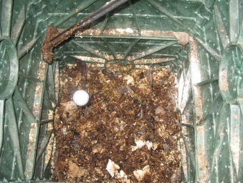 הנחת הזבל בשכבות והעשרה. צילום: SuSanA, ויקימדיה