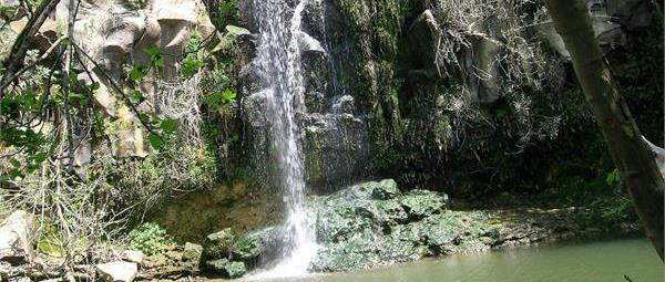 הם בכלל לא שלנו - הם של הטבע. מים במפל אל על. צילום: רחל אלון