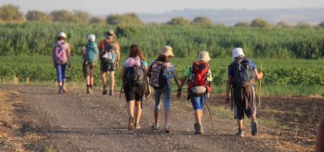 משעמם לכם? צאו לטייל! צילום: פלאש 90