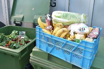  מזון מושלך לפח. צילום: Foerster מתוך ויקימדיה