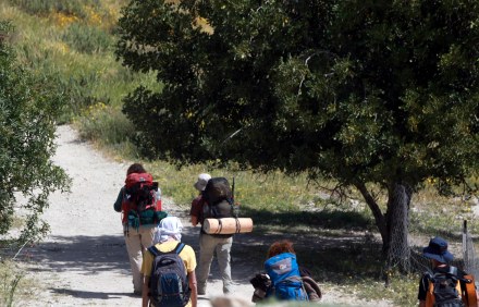 צילום באדיבות חוגי הסיירות של קקל