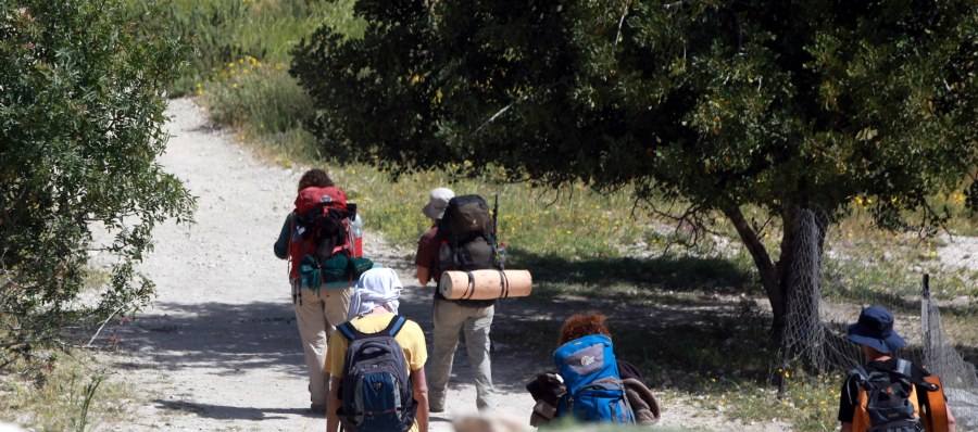 אל תיקחו סיכונים. צילום: יוסי, זמיר, ארכיון בצילומים של קקל