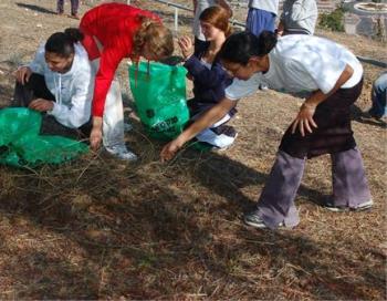 איסוף פסולת יבשה מהחצר. צילום: אבי חיון