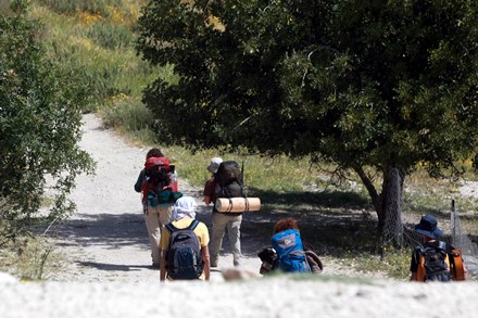 צילום: יוסי זמיר, ארכיון הצילומים של קקל