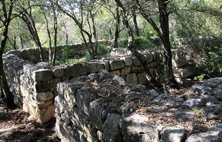 צילום: יעקב שקולניק, ארכיון הצילומים של קקל