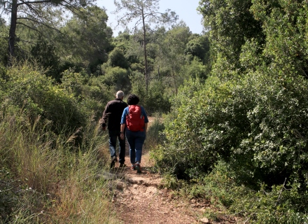 טיול בשביל. צילום: יעקב שקולניק, ארכיון הצילומים של קקל