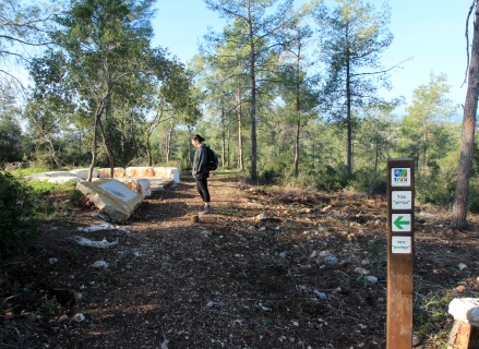 פינת השליחים. צילום: יעקב שקולניק, ארכיון הצילומים של קקל
