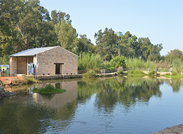 הטחנה המשוחזרת בראש ציפור. צילום: יוסי זליגר, ארכיון הצילומים של קקל