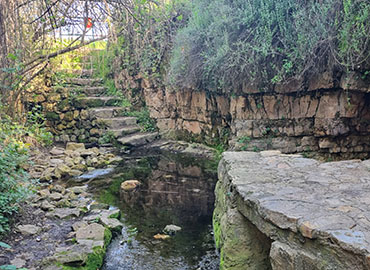 עין חנדק. צילום: עדי טנא נתן, ארכיון הצילומים של קקל