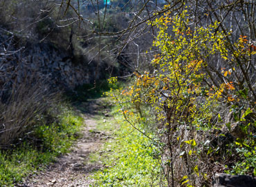 עין חנדק. צילום: אבי חיון, ארכיון הצילומים של קקל