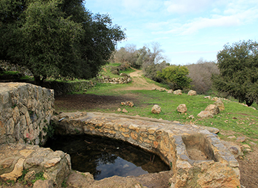 עין חוד. צילום: יעקב שקולניק, ארכיון הצילומים של קקל