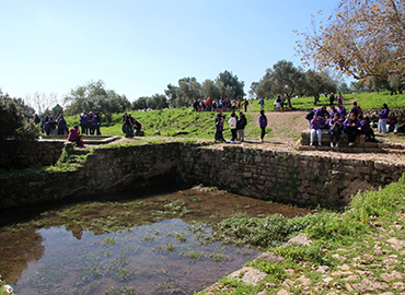 עין צור. צילום: נעמי הדרי, ארכיון הצילומים של קק"ל