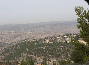 נוף בגוש עציון. צילום: יוסי זמיר, ארכיון הצילומים של קקל