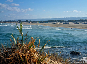 חוף הבונים. צילום: פנינה צייזלר, ארכיון הצילומים של קקל