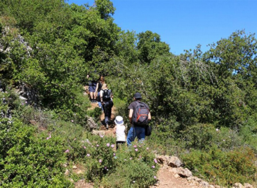 מטיילים בנחל קטלב. צילום: יעקב שקולניק, ארכיון הצילומים של קק"ל